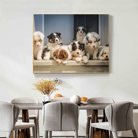 QAZWSX Diamond Art Australian Shepherd Puppies 5D DIY Diamond Dots Painting Kits Crystal by Number Full Round Drill Rhinestone Bead Cross Stitch Handcraft Home Wall Decor 12x16 Inch