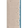 The Unemployed Philosophers Guild Sea Life Notepad - 65 Easy-Tear