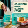 Aunt Fannie's Ultra Concentrated Floor Cleaner Vinegar Wash, Multi-Surface Solution