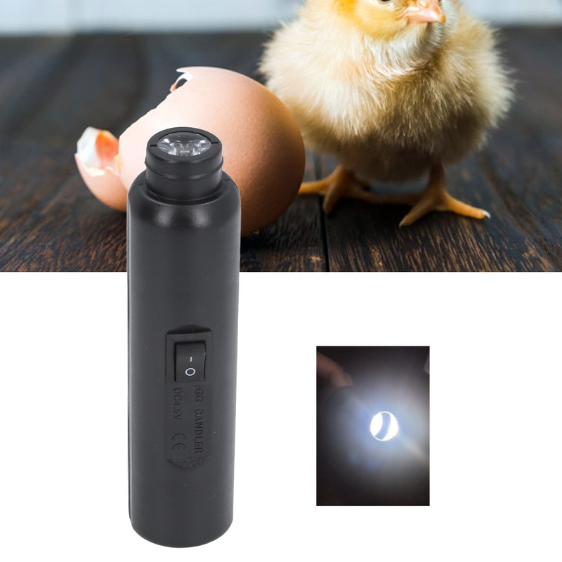 Egg Tester Light USB Rechargeable Bright LED Cool Light Egg
