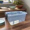METALLIC TURTLE Clear 3.5L Plastic Storage Boxes with Grey Clip