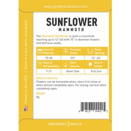 Gardeners Basics Mammoth Sunflower Seeds for Planting Flowers - an Open-Pollinated, Non-GMO Sun Flower Variety, Giant, Tall Yellow Sunflower Seeds Great for Outdoor Large Flower Gardening