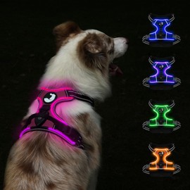 Taglory Light Up Dog Harness, Rechargeable No Pull Dog Vest with 3 Lightning Modes, Reflective Dog Harness with 2 Leash Clips & 4 Adjustable Slide Strips for Medium Dogs, Hotpink-Hotpink, M