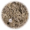 Premium Natural Spanish Moss | Natural Preserved - Great Ground