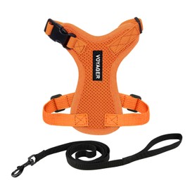 Voyager Step-in Lock Adjustable Cat Harness w. Cat Leash Combo Set with Neoprene Handle 5ft - Supports Small, Medium and Large Breed Cats by Best Pet Supplies - Orange, XS