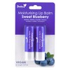 Pretty Moisturising Lip Balm – Sweet Blueberry (Pack of 2)