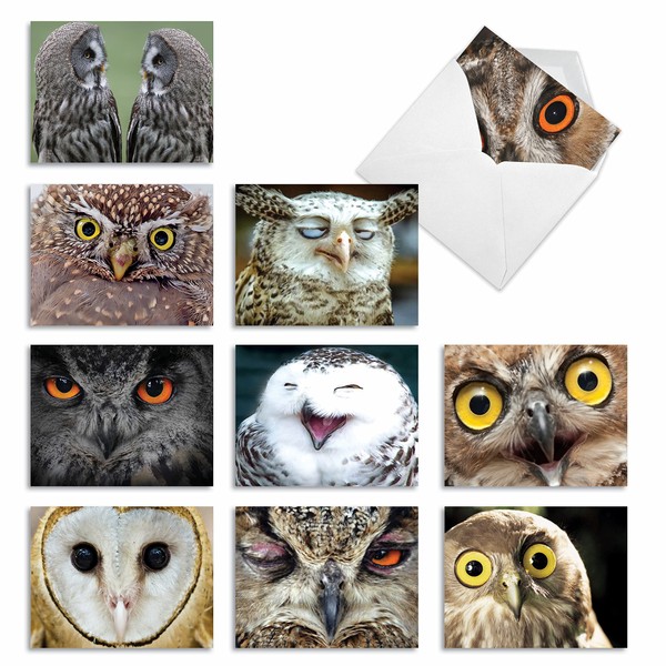 M1769BNsl What A Hoot: 10 Assorted Blank All-Occasion Note Cards Feature Owl Portraits, w/White Envelopes. by The Best Card Company