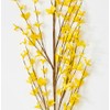 Worth Imports 57" Forsythia Stem