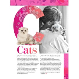 Taylor Swift - A to Z: Deep-Dive ABCs Guide, Eras Tour, Easter Eggs, Stories Behind Songs, Rerecorded Albums, Vault Tracks, Personal Life, Style Evolution, Romances, Cats, What's Next & 2 Free Posters