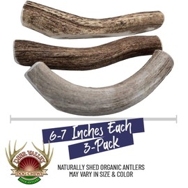 Deer Valley Chews Premium Deer Antler for Dogs (Large 3 Pack, 6-7 Inches) Long Lasting Dog Bone for Large Dogs and Aggressive Chewers