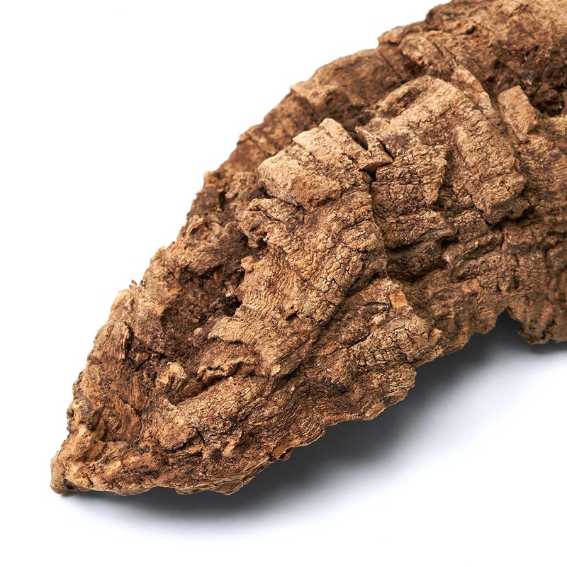 USCAPE Natural cork pieces for terrarium and paludarium, untreated cork
