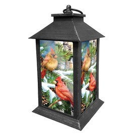 Briarwood Lane Lanterns Decorative - Battery Operated Lights - Outdoor Lantern - Decorative Lanterns - Room Decor - Patio Decor - Home Décor for Winter - Snowy Cardinals