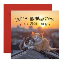 Happy Anniversary Card 'To a Special Couple' - Cat Design with Sunset Background - For Friends, Colleague, Brother, Sister, Mum, Dad, Parents, Cousin- Celebrating Love and Milestones - Blank Inside