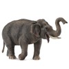 CollectA Asian Elephant