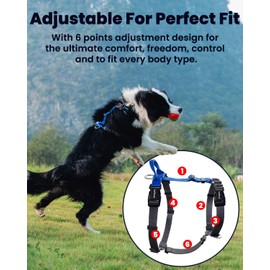 LufeLux Non-Restrictive Freedom No Pull Dog Harness, Keep Balance, Control Handle, Neck-Buckle, Six Points Adjuster for Comfort Fit, 2 Leash Attachments for Back and Front Clip (Red/Black, XS)