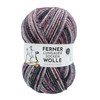 Ferner Wolle Lungauer Sock Wool 6-Ply Colourful 6-Ply Sock Yarn