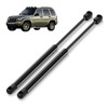 Arana Rear Window Glass Struts for 2002-2007 Jeep Liberty, 4365