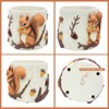 Unique Squirrel Plant Pots Cute Succulent Pots with Drainage Hole