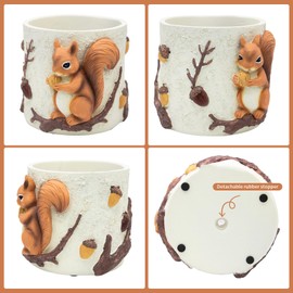 Unique Squirrel Plant Pots Cute Succulent Pots with Drainage Hole