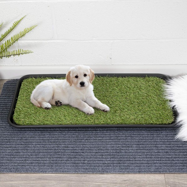 Ottomanson Pet Training Collection Non-Slip Easy Clean Indoor/Outdoor Tray with Reusable Grass Pad, 15" x 30", Green