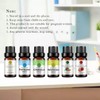 RAINBOW ABBY 6-Pack Orangic 100% Pure Essential Oil Set (Peppermint,