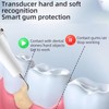Plaque Remover for Teeth, Painless Tartar Remover for Teeth, Dental