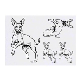 Azeeda 4 x 'Cornish Rex Katze' Temporäre Tattoos - Wasserfest, Hautfreundlich & Ungiftig · Transfers in Verschiedenen Größen (TO00075048)