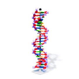Molymod DNA Double Helix Model, 22 Segments, miniDNA Kit