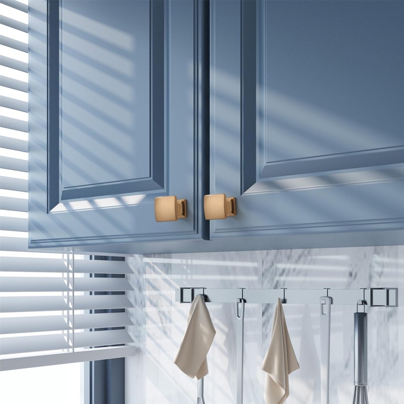 Coinkoly 10 Pack Champagne Bronze Cabinet Knobs Single Hole Cupboard