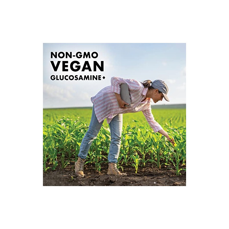 BlueBonnet Vegetarian Glucosamine Plus MSM Supplement, 120 Count