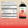Dynamic Health Pomegranate Juice Concentrate | No Additives or Preservatives