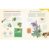 Bienen - Wilde Helfer der Natur
