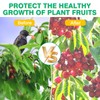 2 Pack Winter Fruit Tree Netting Sets with Zipper Drawstring,