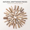 Craft Sticks, 20Pcs Mini Wood Log for Rustic Home Decor