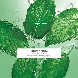 YVES ROCHER - Pure Menthe Limpiador Facial en Gel, Purifica y Matifica, Fórmula Vegana, Piel Grasa a Mixta, 390 ml                                    