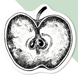 Azeeda 4 x 'Sliced Apple' White Premium Vinyl Decal Stickers – Waterproof, Durable & Easy to Apply - Ideal for Car Bumpers, Windows, Bins and More (DW00008237)