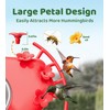 HIXX Smart Hummingbird Feeder with Camera Solar Powered, with Ant