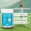 Biosuple Colágeno Hidrolizado Sin Sabor 300g Té Matcha Vitamina C
