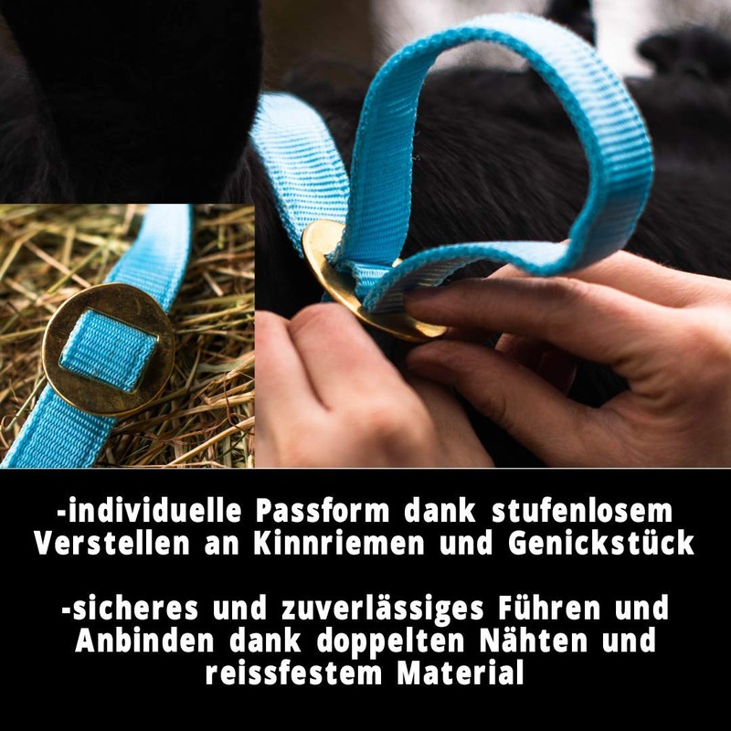 Pferdelinis Halter Foal Halter for Mini Shetty Halter for Wooden