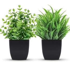 Der Rose 2 Packs Fake Plants Small Artificial Potted Plants Faux Plants in Black Pots for Home Office Desk Bathroom Decor Indoor