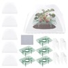 5 Sets Strawberry Supports with Plant Protectors Set, Strawberry Growing
