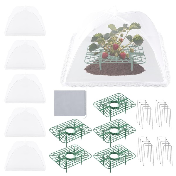 5 Sets Strawberry Supports with Plant Protectors Set, Strawberry Growing