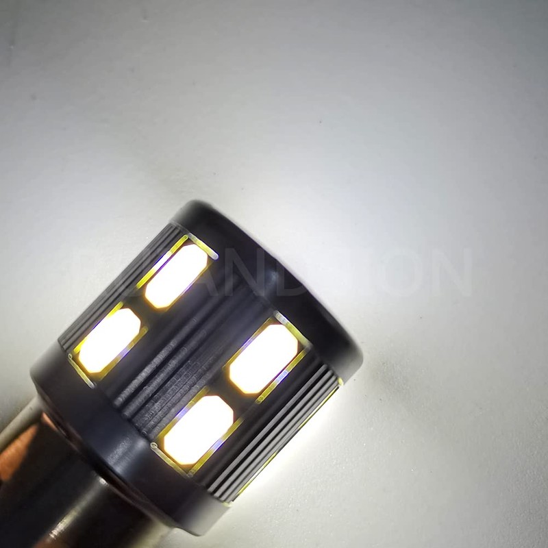 Ruiandsion 2pcs 1157 LED Light Bulbs White BAY15D 6V 17SMD
