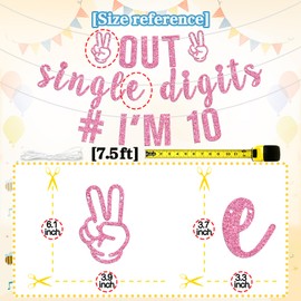 Out Single Digits I'm 10 Banner, In My 10th Birthday Era Time/Hello 10/Double Digits, Happy 10th Birthday Party Decorations Supplies for Boy Girl, Pink Glitter