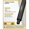GVPART4U Power Liftgate Struts Fit for Ford Explorer Ford Police
