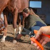 MEISH Horse Foot Rot Trimming Shears Goat Hoof Trimmer Nail