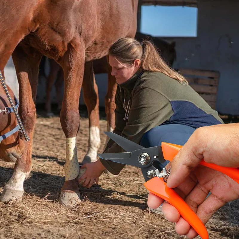MEISH Horse Foot Rot Trimming Shears Goat Hoof Trimmer Nail