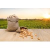 Fruidles Raw Peanuts (2 Pounds (Pack of 6))
