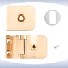 Glass Shower Door Hinges, Brushed Nickel Finish Mini Hinge Glass