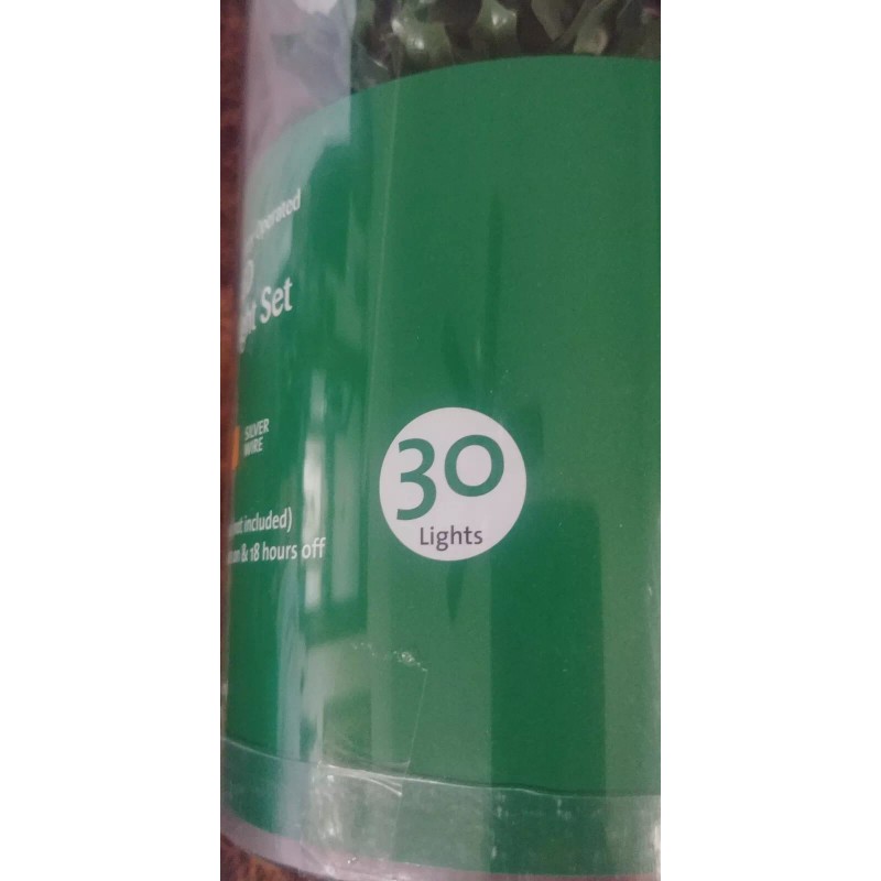 Winter wonder Lane - Holly berry Light 30 Count set